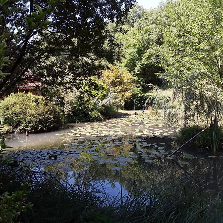 Le Chalet De La Grenouille Verte Tursac ภายนอก รูปภาพ