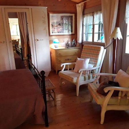 Le Chalet De La Grenouille Verte Tursac ภายนอก รูปภาพ
