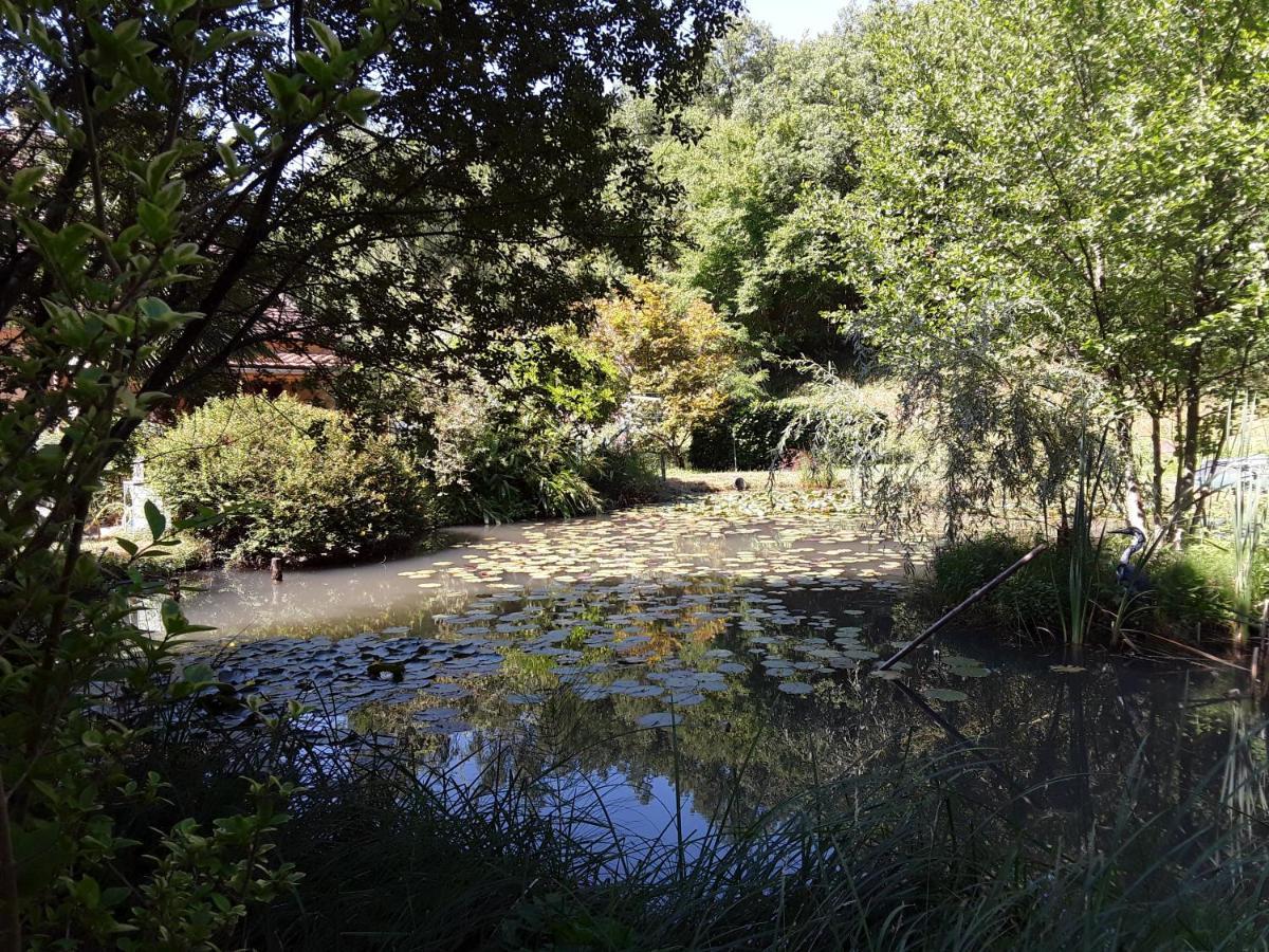 Le Chalet De La Grenouille Verte Tursac ภายนอก รูปภาพ