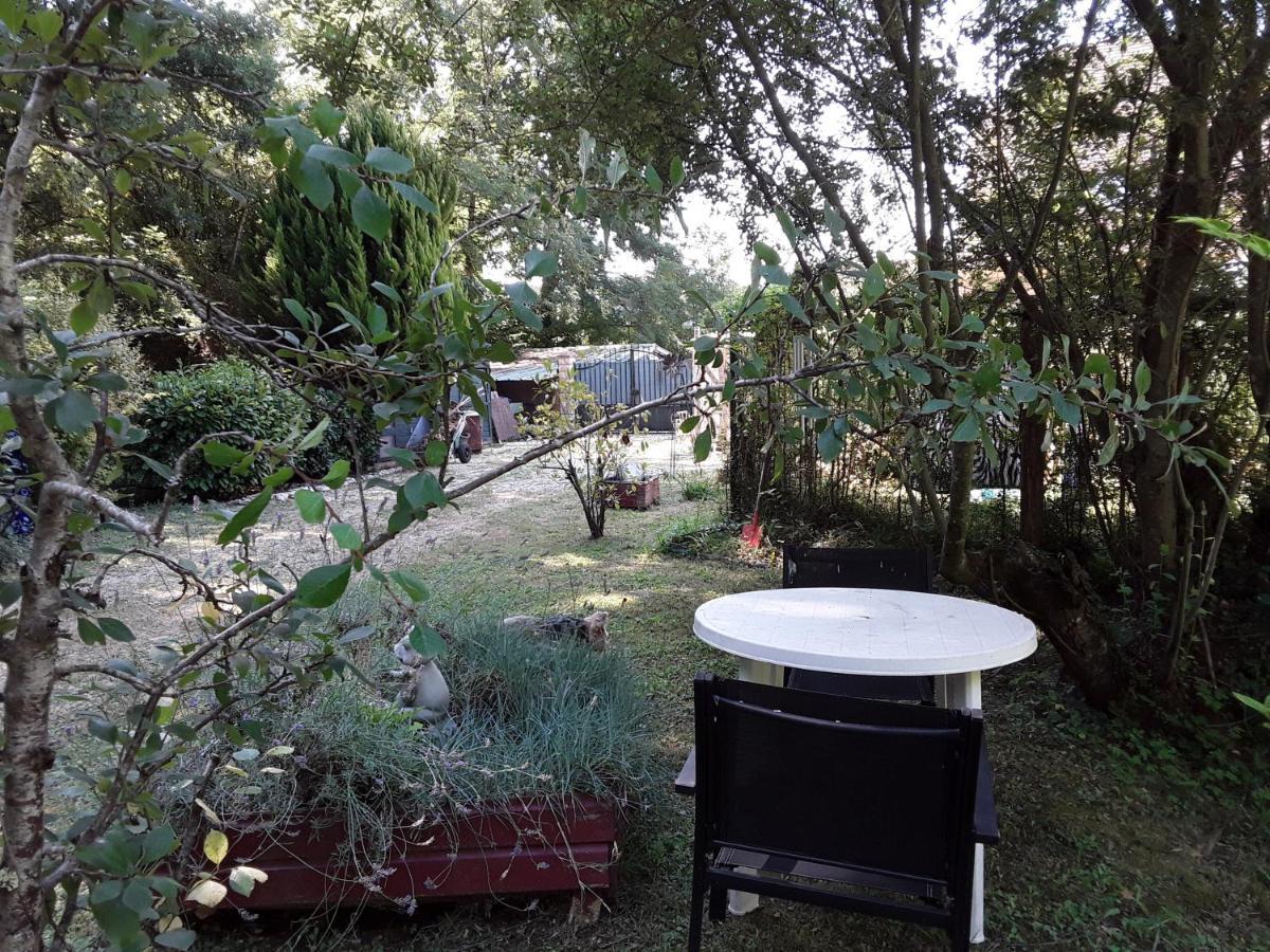Le Chalet De La Grenouille Verte Tursac ภายนอก รูปภาพ